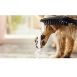 Hansgrohe Chuveiro Preto para cães