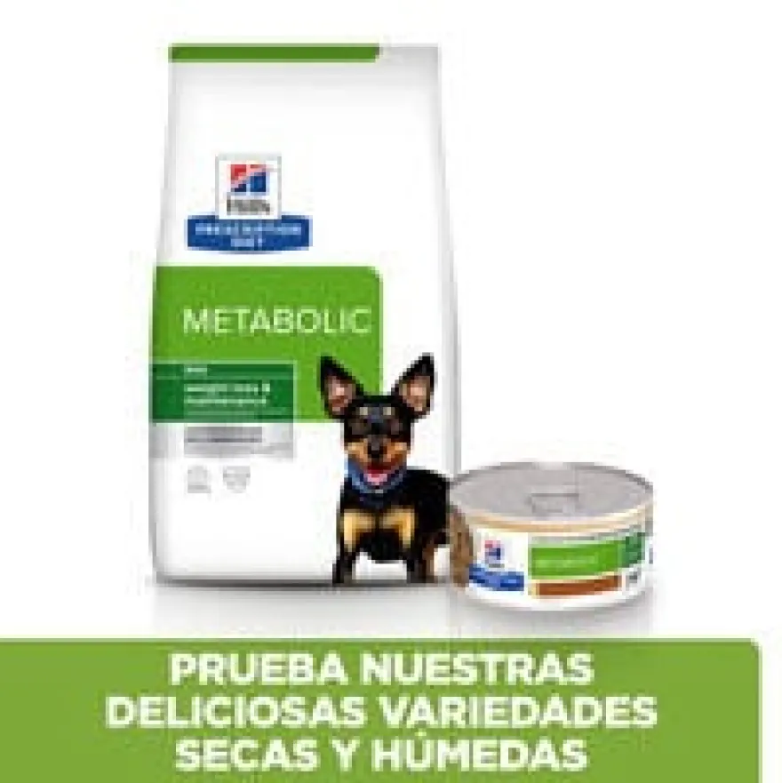 Hill's Adult Mini Prescription Diet Metabolic Guisado de Frango e Legumes para cães