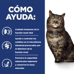 Hill's Early Stage Kidney Care Frango saqueta em molho para gatos