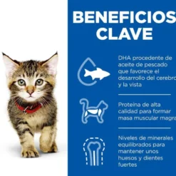 Hill's Kittenn Science Plan Frango e Peixe saqueta para gatos - Multipack 12