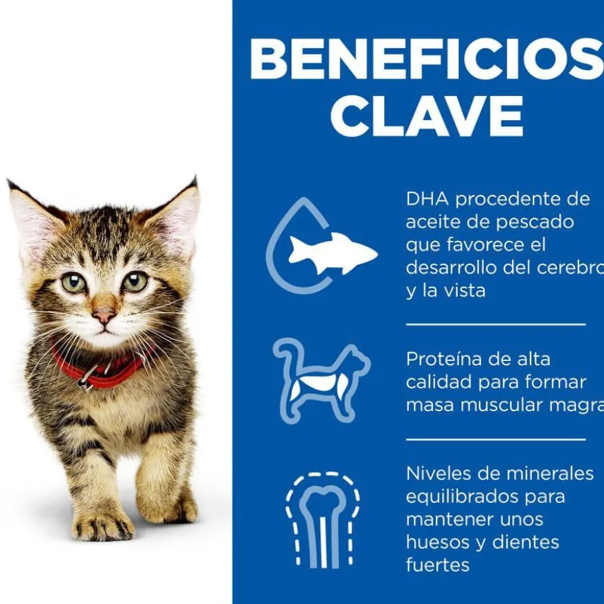 Hill's Kittenn Science Plan Frango e Peixe saqueta para gatos - Multipack 12