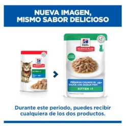 Hill's Kitten Science Plan Peixe Azul saqueta em molho