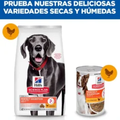 Hill's Large Adult Science Plan Perfect Digestion Frango ração para cães