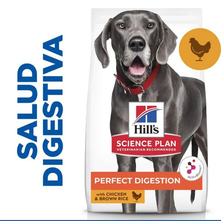 Hill's Large Adult Science Plan Perfect Digestion Frango ração para cães