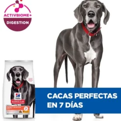 Hill's Large Adult Science Plan Perfect Digestion Frango ração para cães