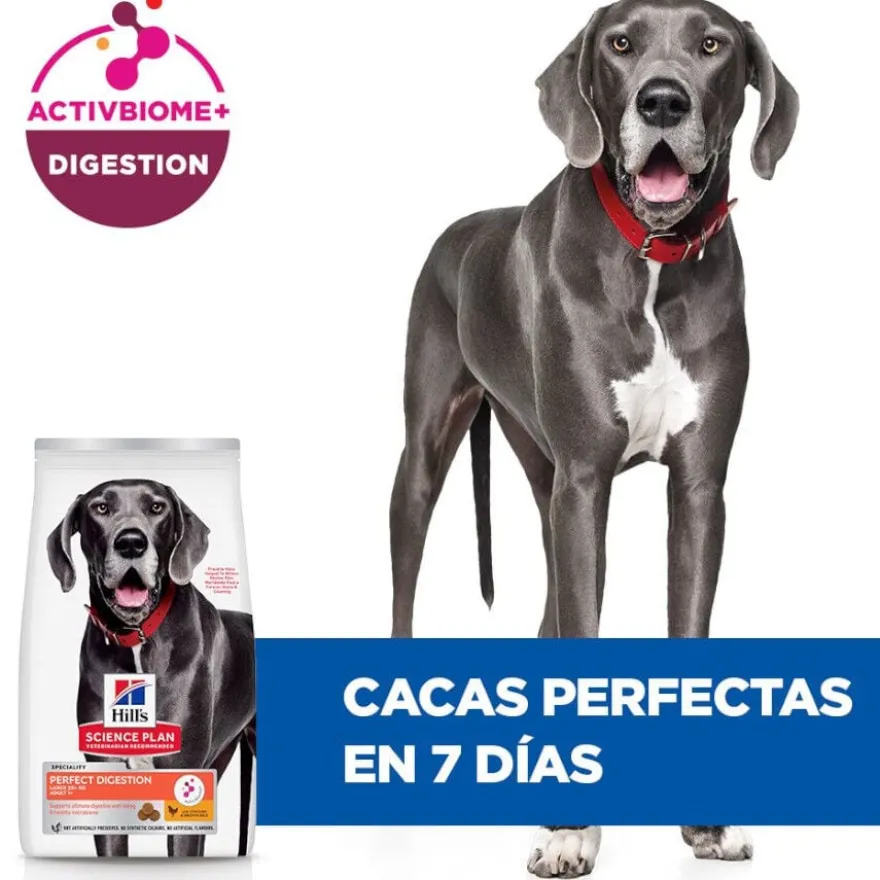 Hill's Large Adult Science Plan Perfect Digestion Frango ração para cães