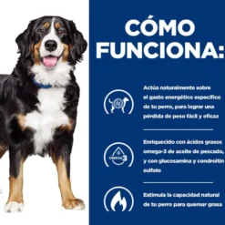 Hill's Prescription Diet Canine j/d Metabolic + Mobility lata