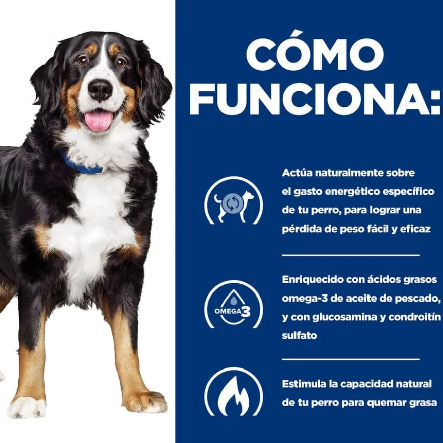 Hill's Prescription Diet Canine j/d Metabolic + Mobility lata