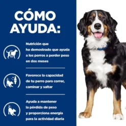 Hill's Prescription Diet Canine j/d Metabolic + Mobility lata