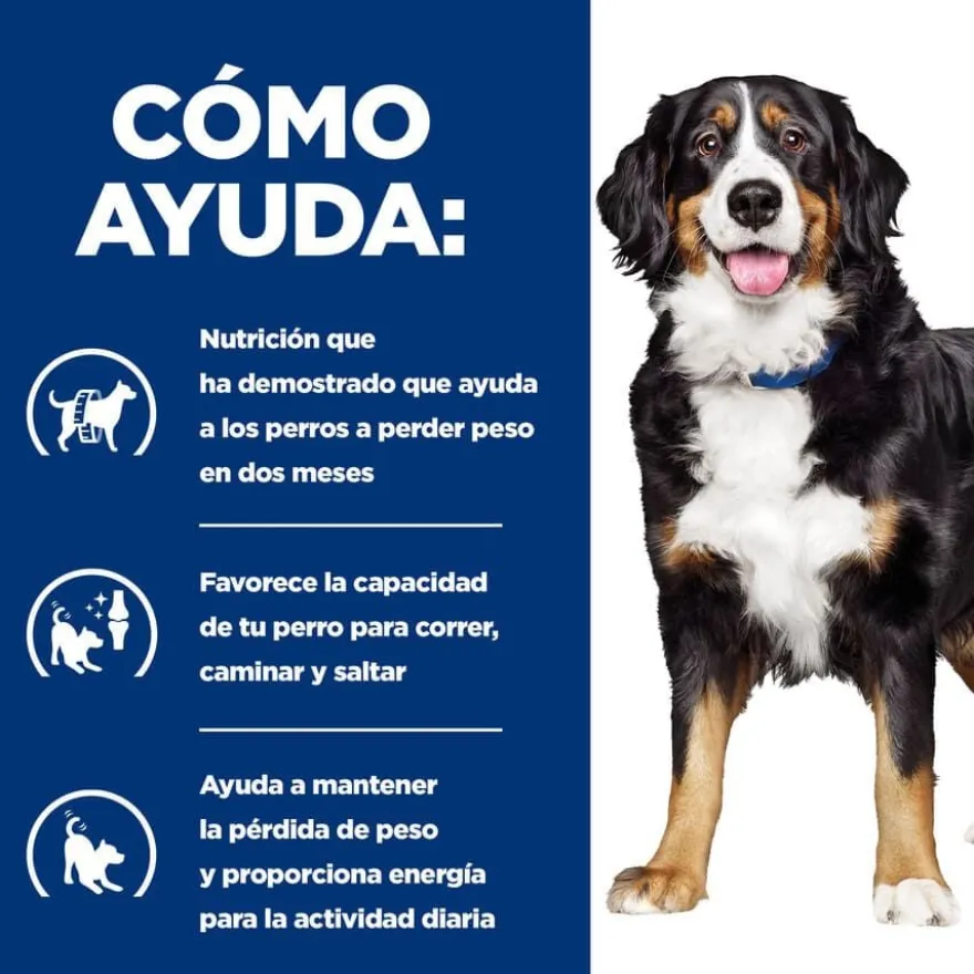 Hill's Prescription Diet Canine j/d Metabolic + Mobility lata