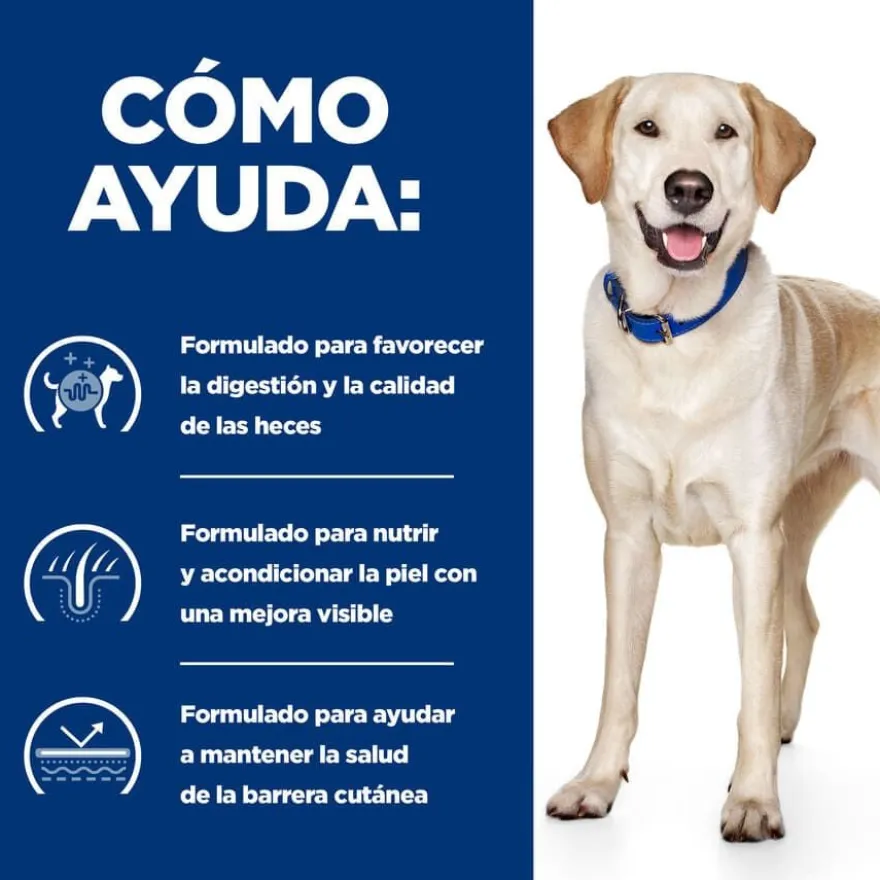 Hill's Prescription Diet d/d Food Sensitive Pato ração para cães
