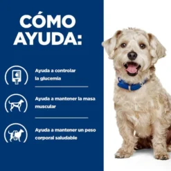 Hill's Prescription Diet Digestion Weight Frango lata para cães