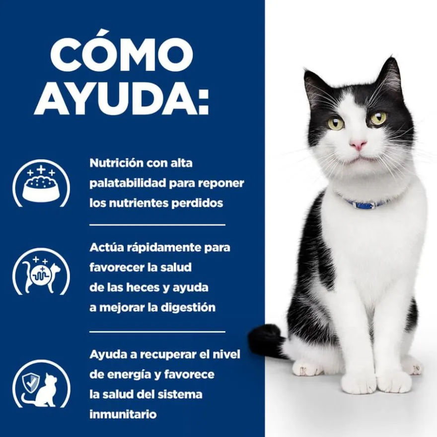 Hill's Prescription Diet Digestive Care gatos Guisado de Frango e Vegetais lata