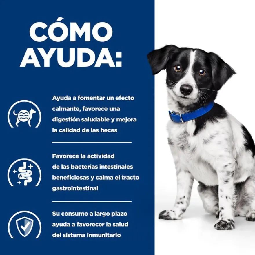 Hill's Prescription Diet Digestive Care Guisado de Frango e Legumes lata para cães