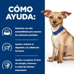 Hill's Prescription Diet Digestive Care i/d Cães Frango e Legumes lata