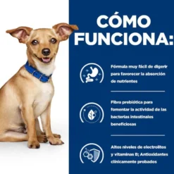 Hill's Prescription Diet Digestive Care i/d Cães Frango e Legumes lata
