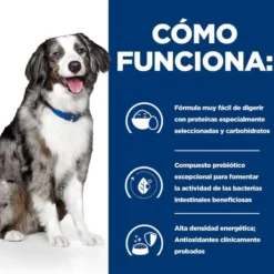 Hill's Prescription Diet Digestive Care i/d ração para cães