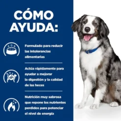 Hill's Prescription Diet Digestive Care i/d ração para cães