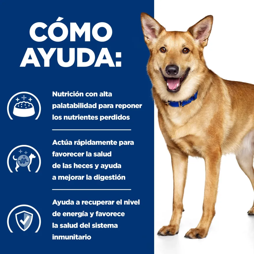 Hill's Prescription Diet Digestive Care Peru lata para cães