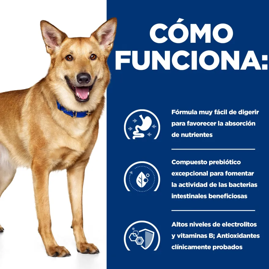 Hill's Prescription Diet Digestive Care Peru lata para cães