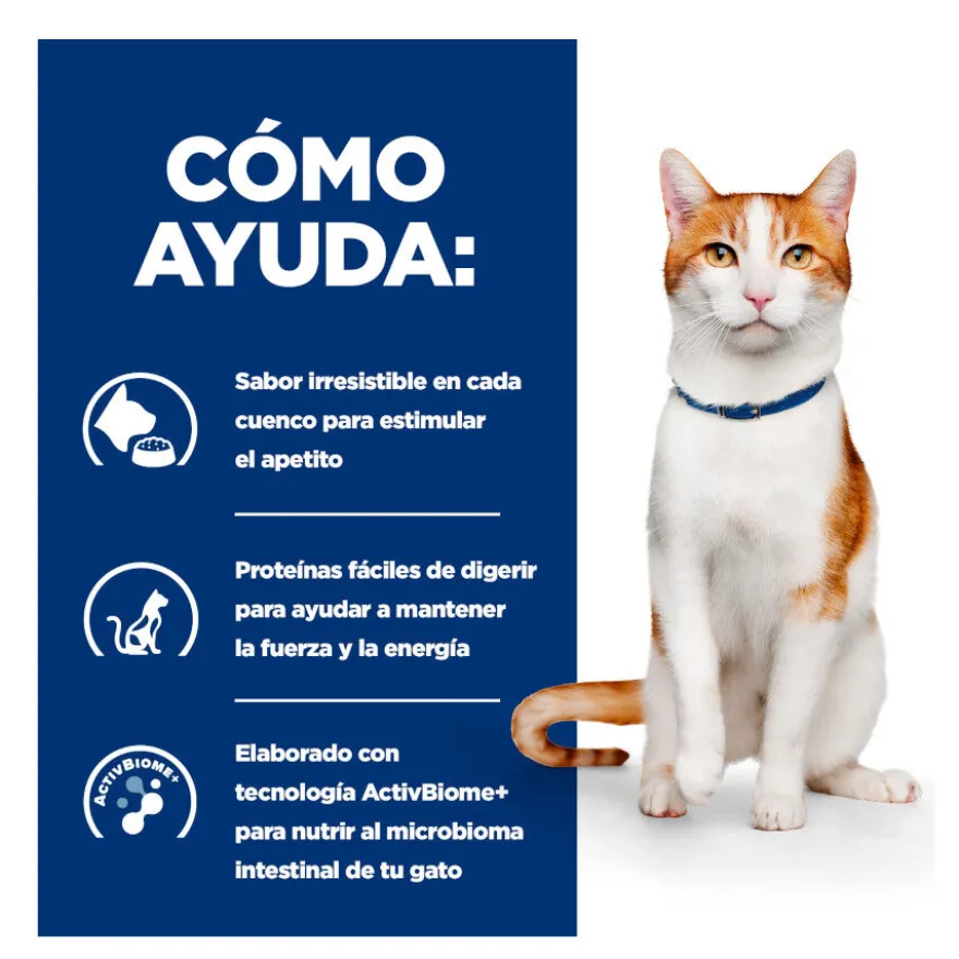 Hill's Prescription Diet Feline Ensopado com Frango e Legumes para Gatos Adultos