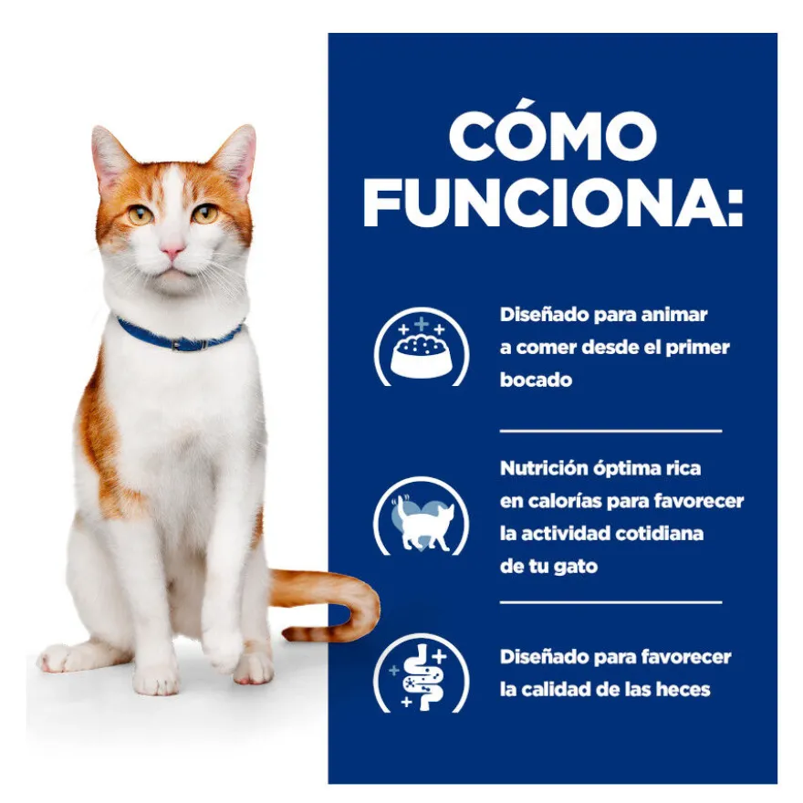 Hill's Prescription Diet Feline Ensopado com Frango e Legumes para Gatos Adultos