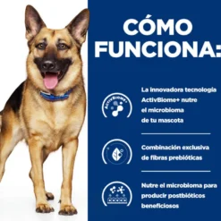Hill's Prescription Diet Gastrointestinal Biome Frango ração para cães