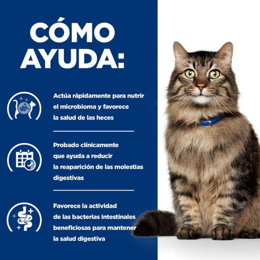 Hill's Prescription Diet Gastrointestinal Biome Ração de frango para gatos