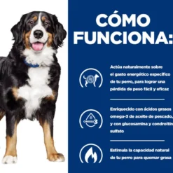 Hill's Prescription Diet J/D Metabolic + Mobility Frango ração para cães