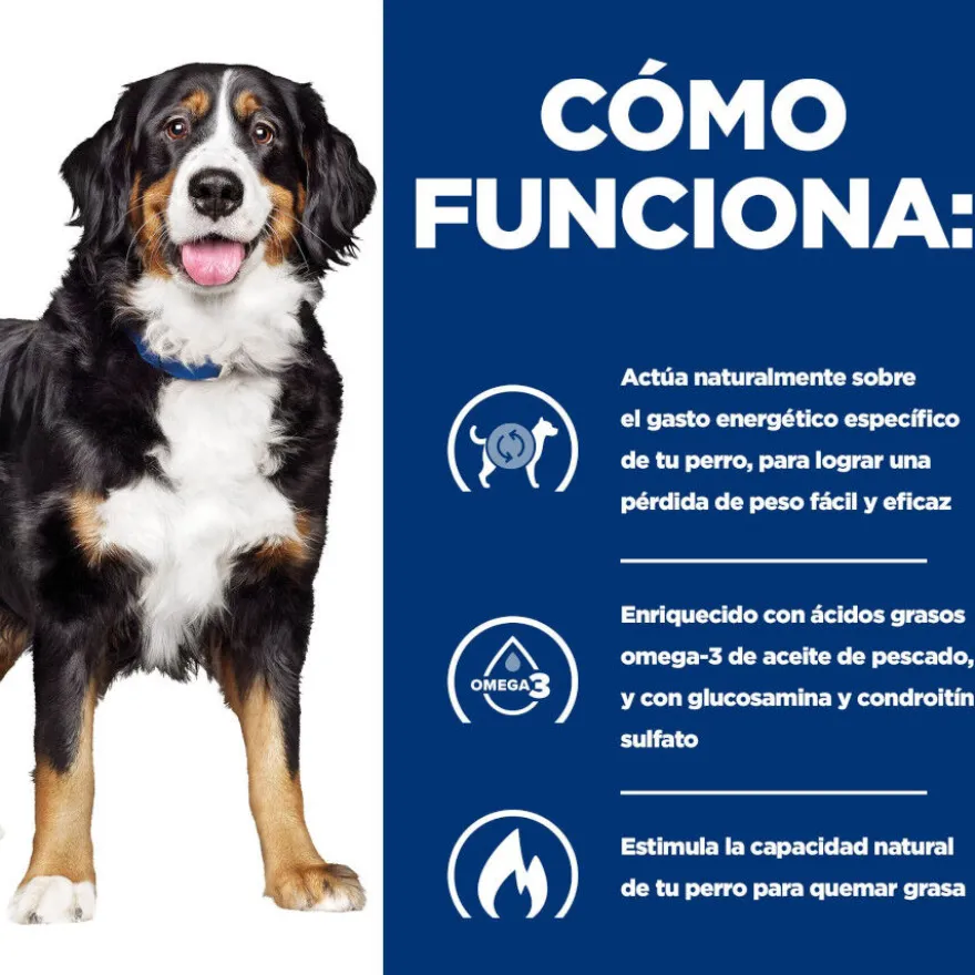 Hill's Prescription Diet J/D Metabolic + Mobility Frango ração para cães