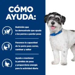 Hill's Prescription Diet j/d Metabolic + Mobility mini Adult ração para cães