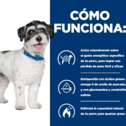 Hill's Prescription Diet j/d Metabolic + Mobility mini Adult ração para cães