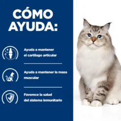 Hill's Prescription Diet Joint Care Frango ração para gatos