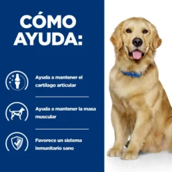 Hill's Prescription Diet Joint Care Reduced Calorie j/d Frango ração para cães