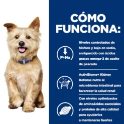 Hill's Prescription Diet Kidney Care Alimento húmido de frango em lata para cães