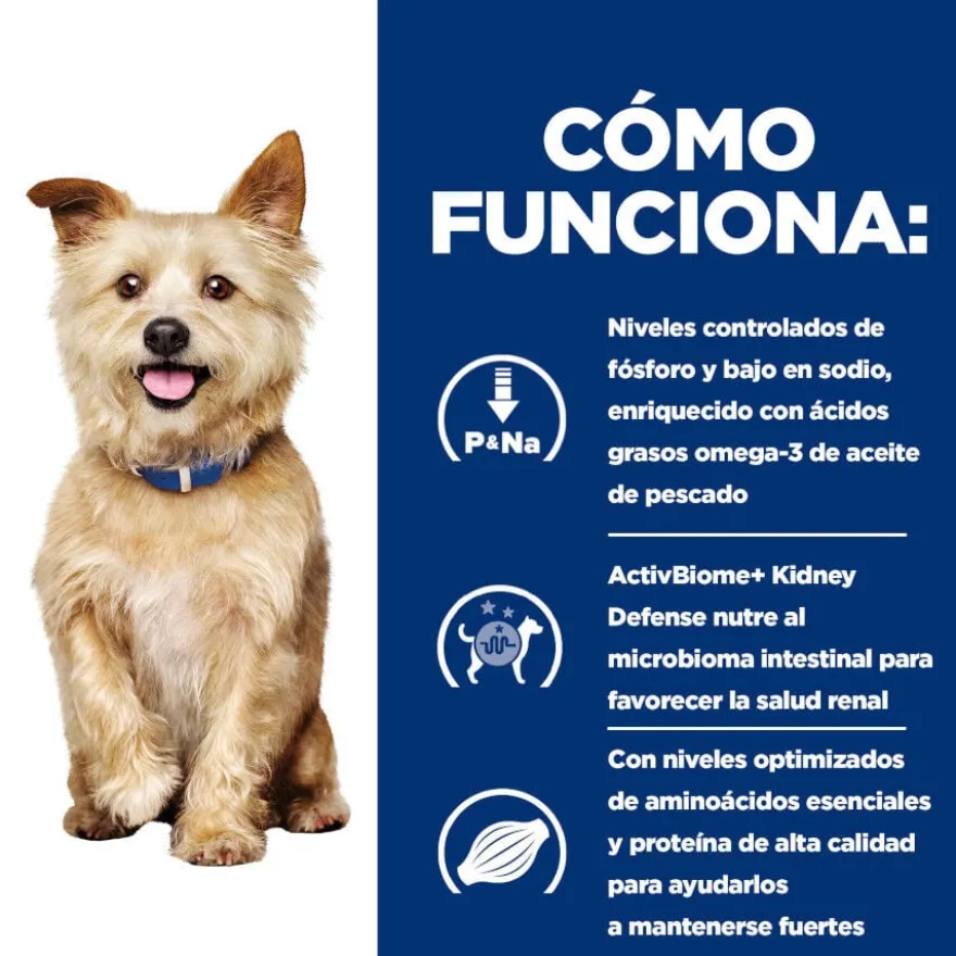 Hill's Prescription Diet Kidney Care Alimento húmido de frango em lata para cães