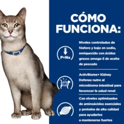 Hill's Prescription Diet Kidney Care k/d Salmão ração para gatos