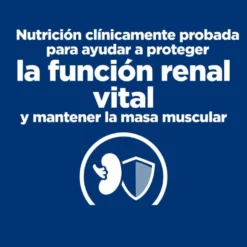 Hill's Prescription Diet Kidney Care k/d Salmão ração para gatos