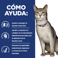 Hill's Prescription Diet Kidney Care k/d Salmão ração para gatos