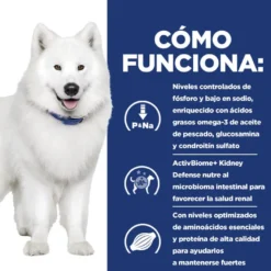 Hill's Prescription Diet Kidney + Mobility ração para cães