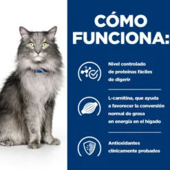 Hill's Prescription Diet Liver Care Frango ração para gatos