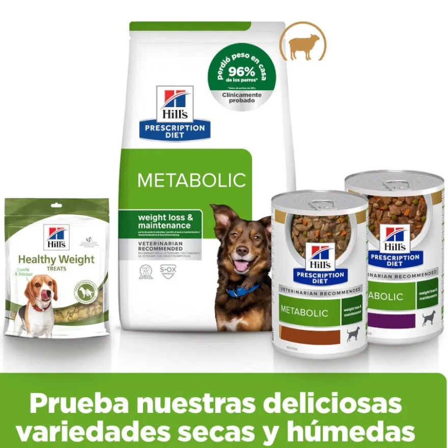 Hill's Prescription Diet Metabolic cordeiro e arroz ração para cães