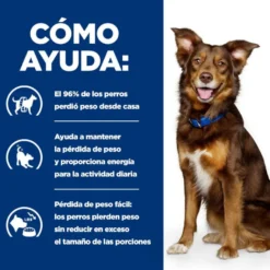 Hill's Prescription Diet Metabolic cordeiro e arroz ração para cães