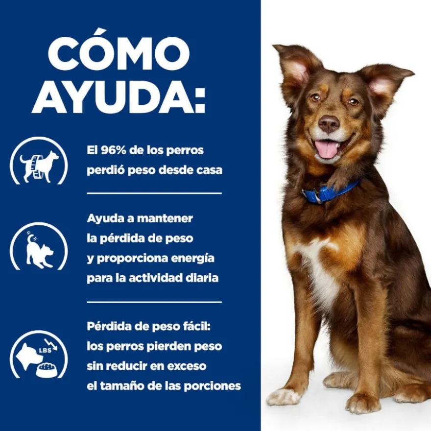 Hill's Prescription Diet Metabolic cordeiro e arroz ração para cães
