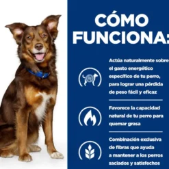 Hill's Prescription Diet Metabolic cordeiro e arroz ração para cães