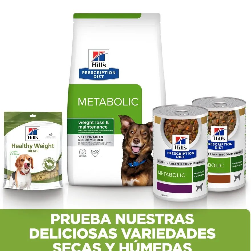 Hill's Prescription Diet Metabolic Frango lata para cães