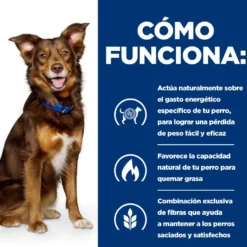 Hill's Prescription Diet Metabolic Frango lata para cães