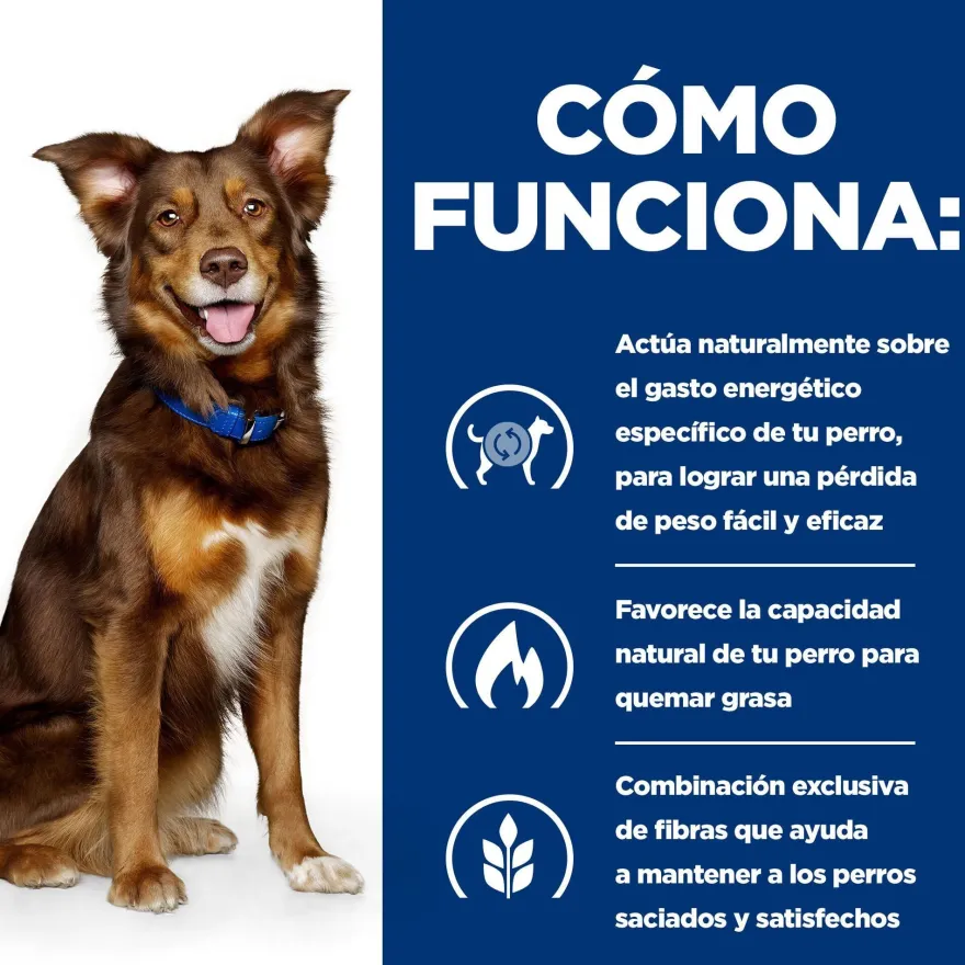 Hill's Prescription Diet Metabolic Frango lata para cães