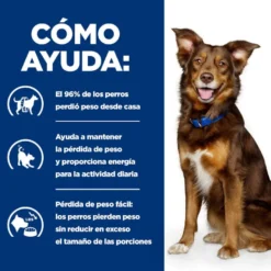Hill's Prescription Diet Metabolic Guisado de Frango e Legumes lata para cães