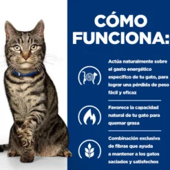 Hill's Prescription Diet Metabolic Guisado de Frango e Legumes lata para gatos
